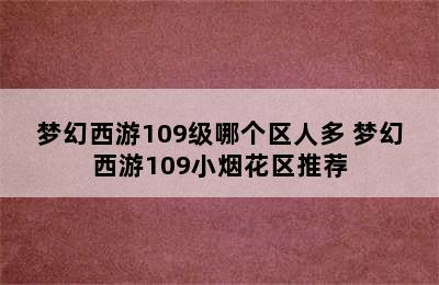 梦幻西游109级哪个区人多 梦幻西游109小烟花区推荐